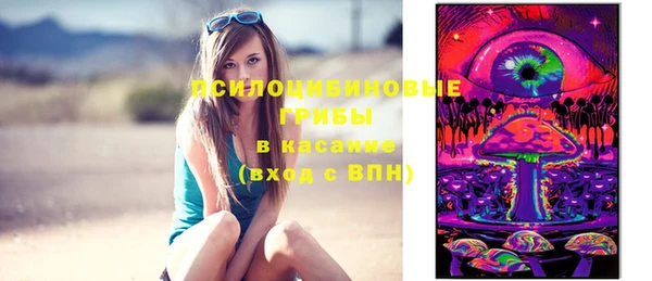 сатива Костерёво