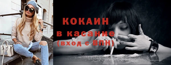 сатива Костерёво