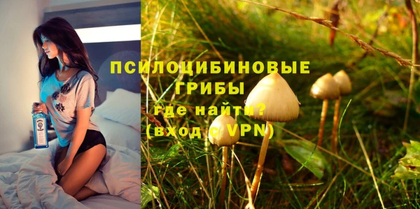 сатива Костерёво