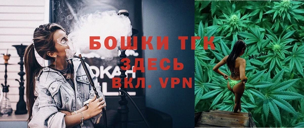 сатива Костерёво