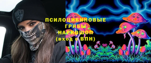 сатива Костерёво
