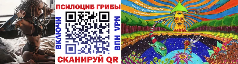 Галлюциногенные грибы Magic Shrooms  Купить  Завитинск 